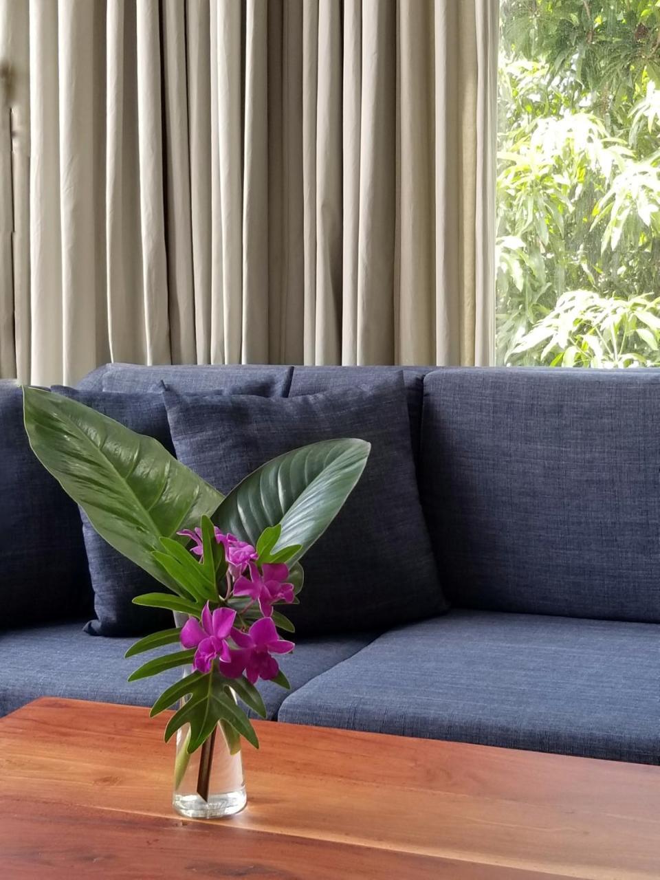 Angkor Siesta Villa シェムリアップ エクステリア 写真